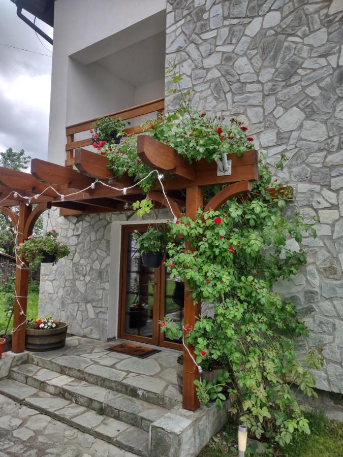 Pensiunea Codruta Carpinisu Exterior foto