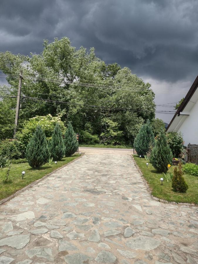 Pensiunea Codruta Carpinisu Exterior foto