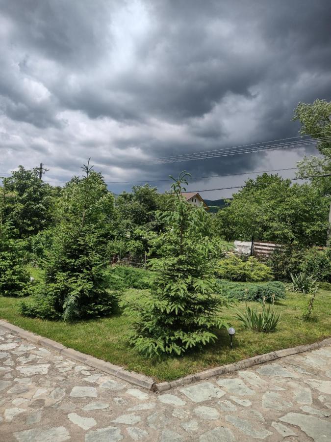 Pensiunea Codruta Carpinisu Exterior foto