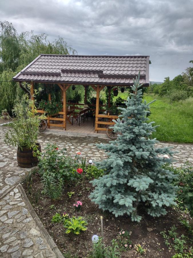 Pensiunea Codruta Carpinisu Exterior foto