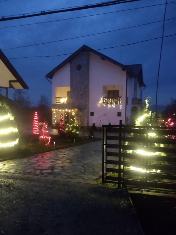 Pensiunea Codruta Carpinisu Exterior foto