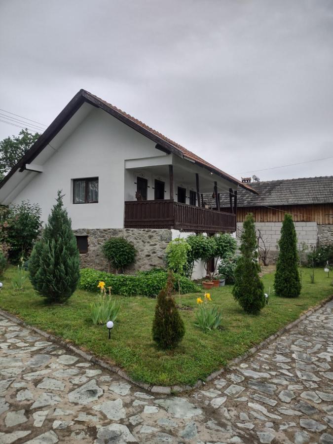Pensiunea Codruta Carpinisu Exterior foto