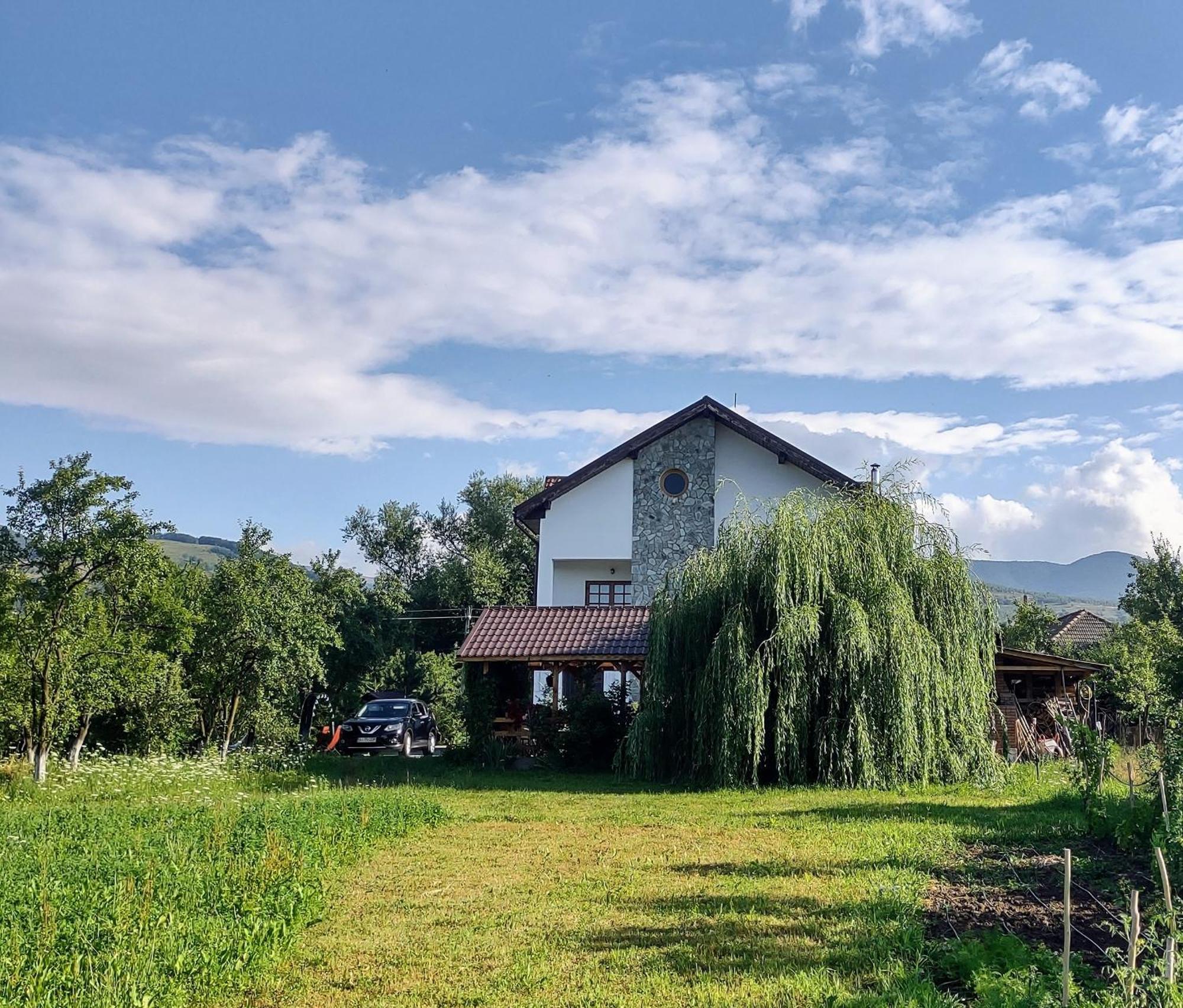 Pensiunea Codruta Carpinisu Exterior foto