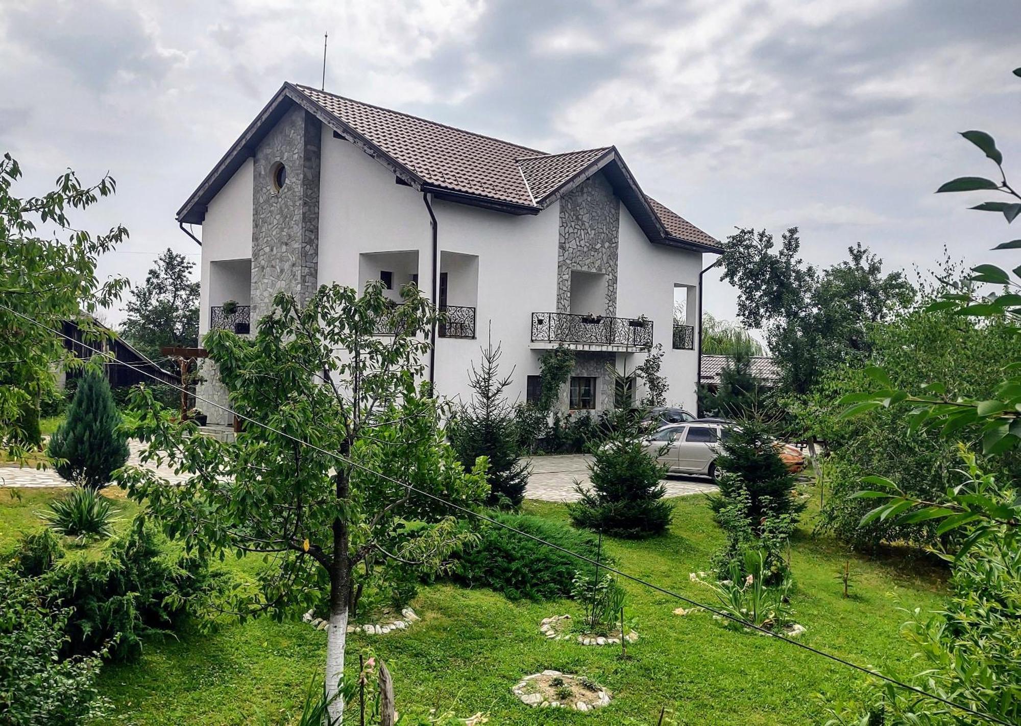 Pensiunea Codruta Carpinisu Exterior foto