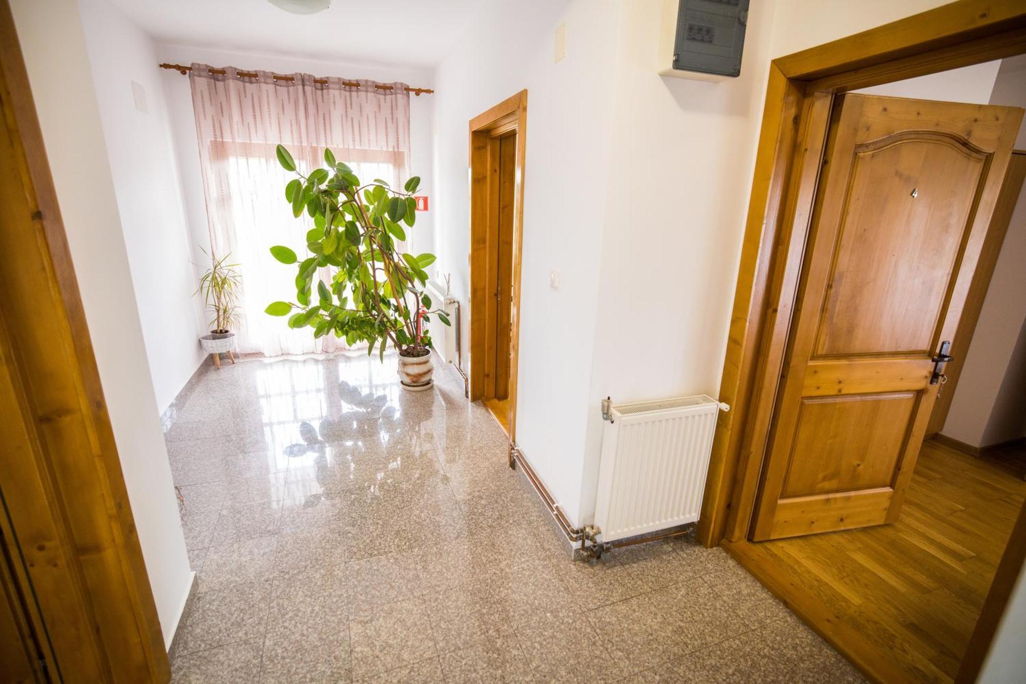Pensiunea Codruta Carpinisu Exterior foto