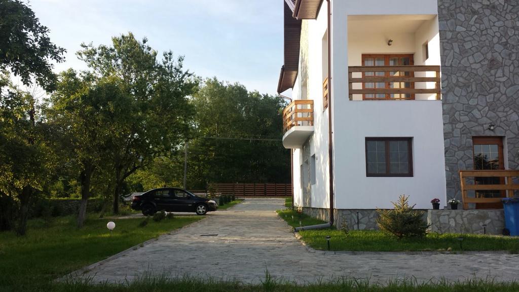 Pensiunea Codruta Carpinisu Exterior foto
