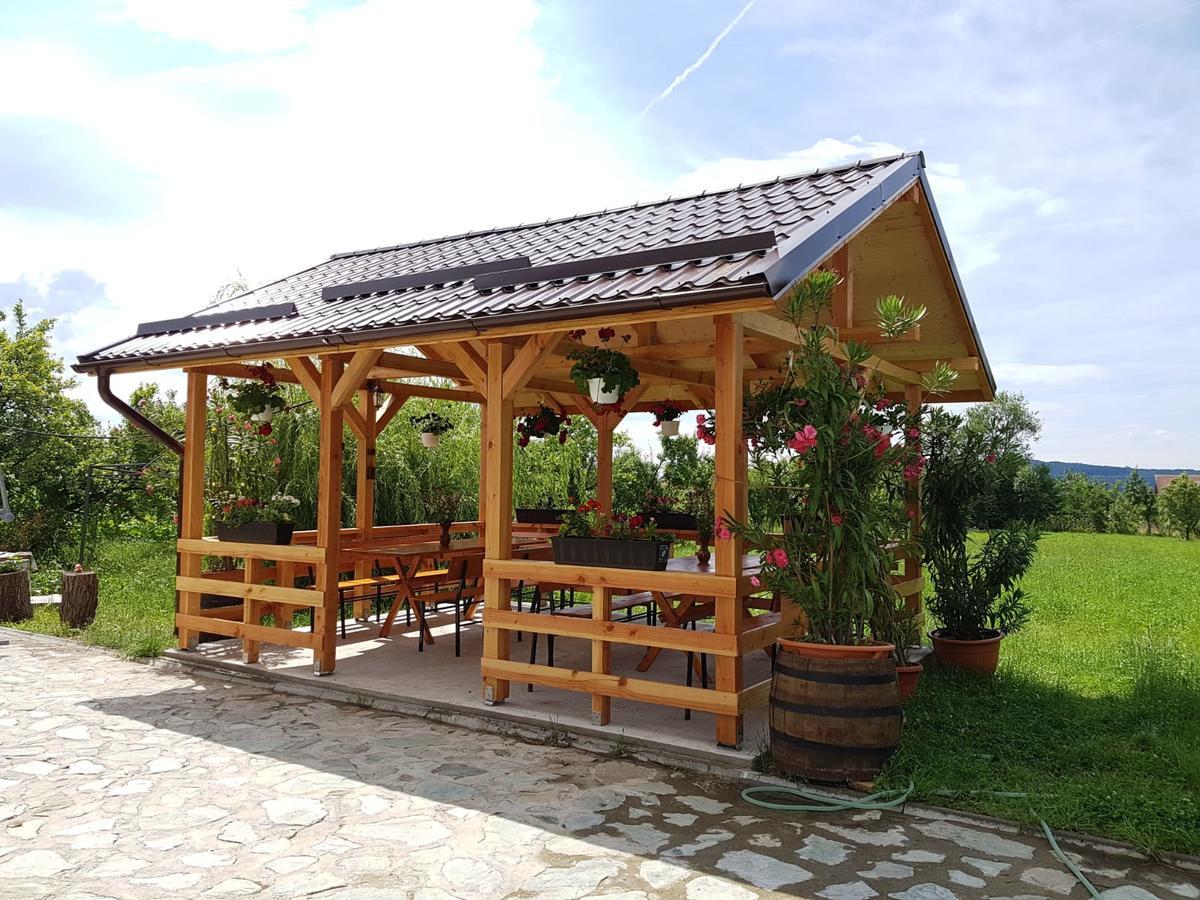 Pensiunea Codruta Carpinisu Exterior foto