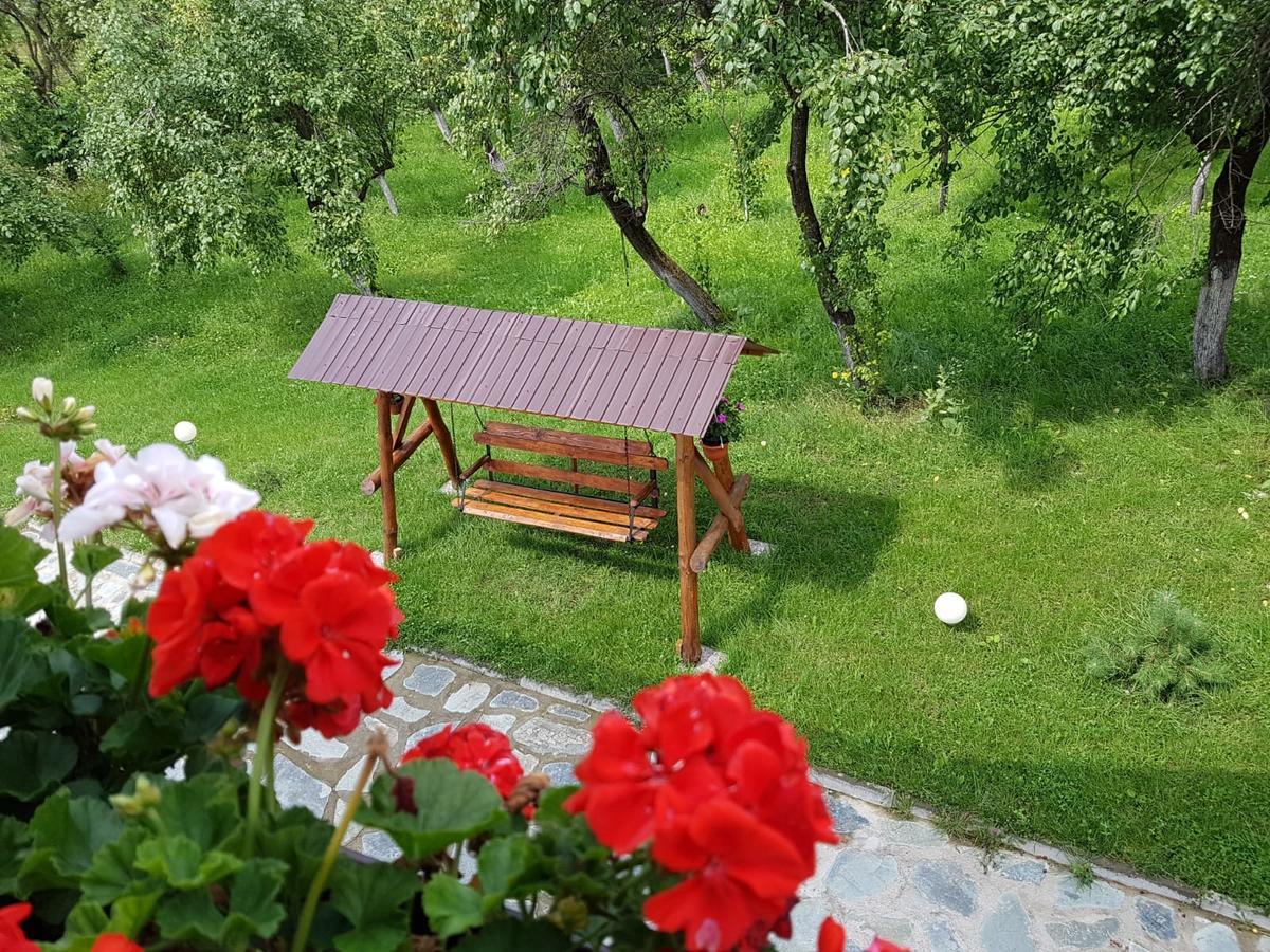 Pensiunea Codruta Carpinisu Exterior foto